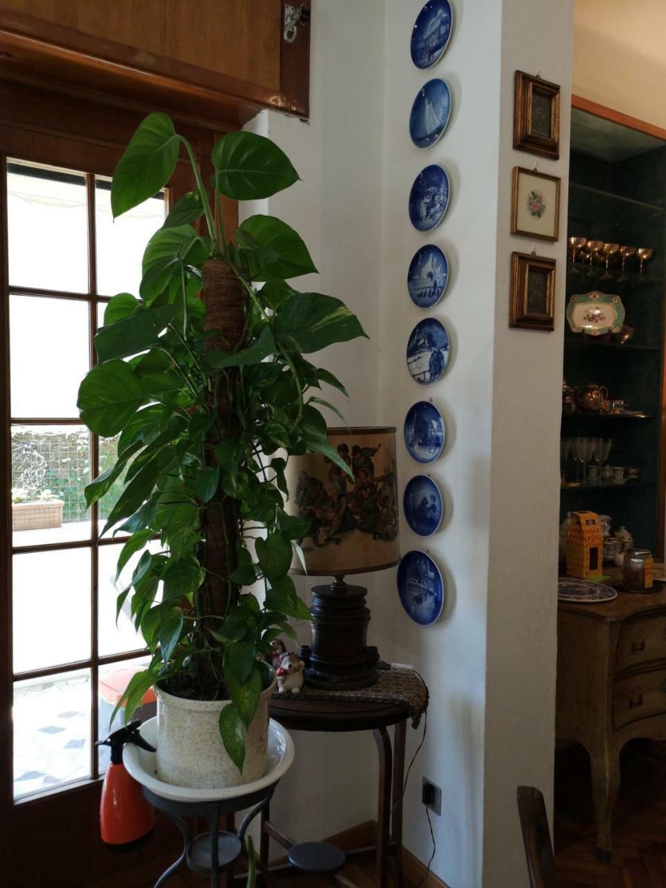 Wanderlust Bnb Pisa Luaran gambar